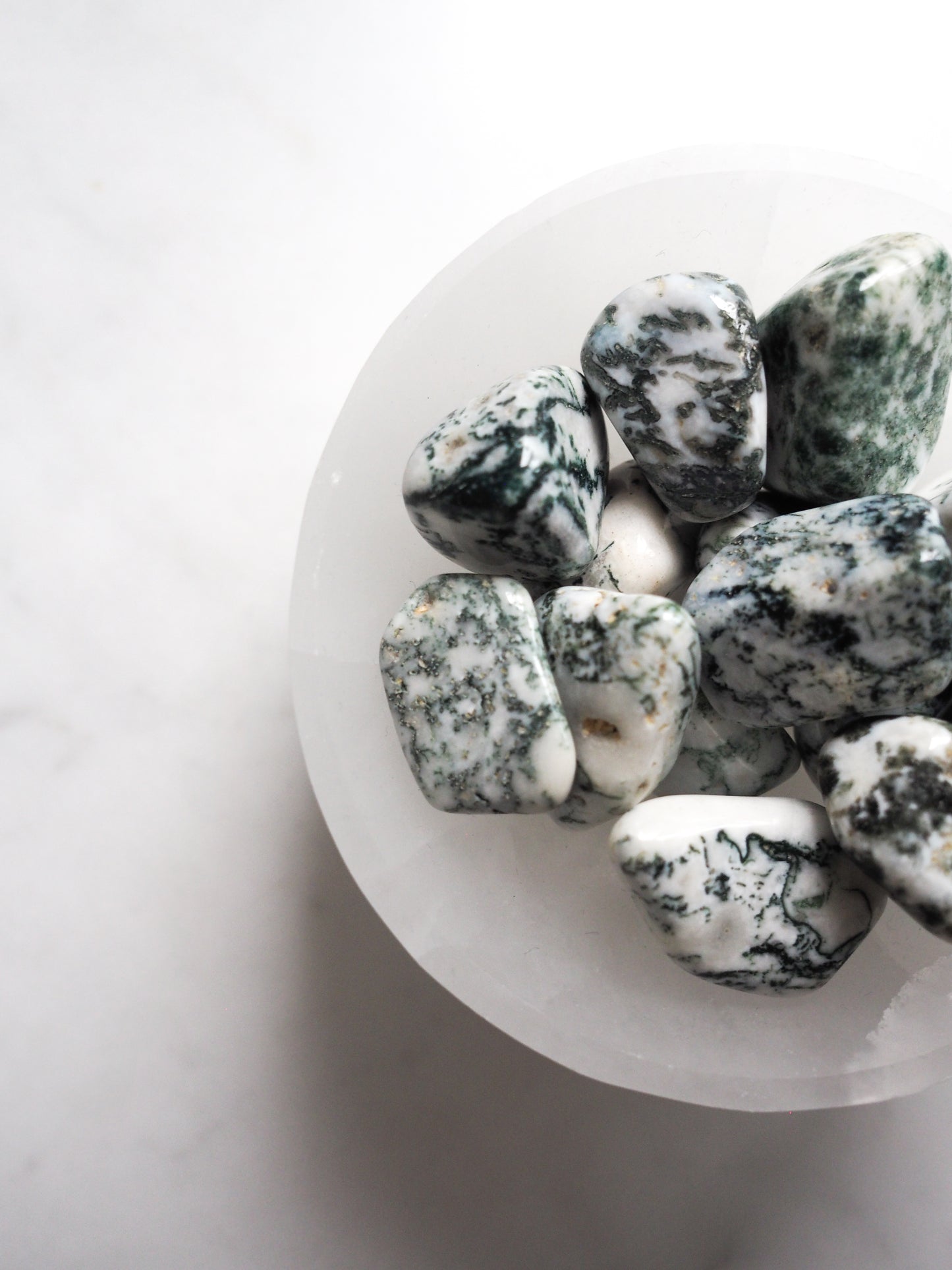 tree agate | nature connection - earth-healer