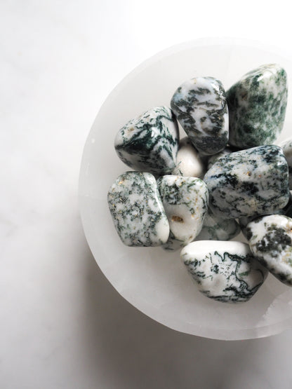 tree agate | nature connection - earth-healer