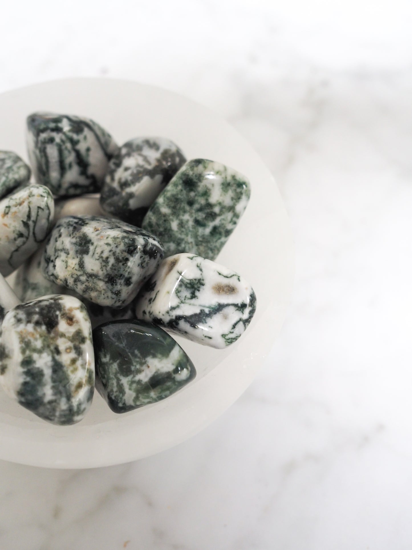 tree agate | nature connection - earth-healer